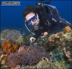 You just gotta love Clown Fish !! Nikon D2x 12-24 lens ma... by Richard Swann 